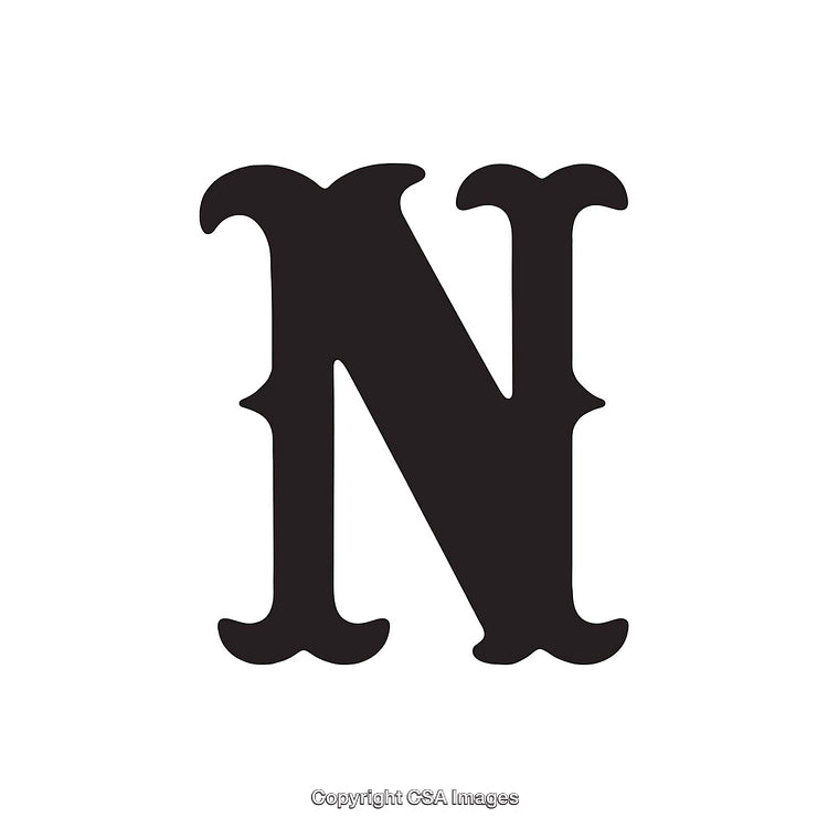 Bold Letter N in Classic Serif Typeface on White Background