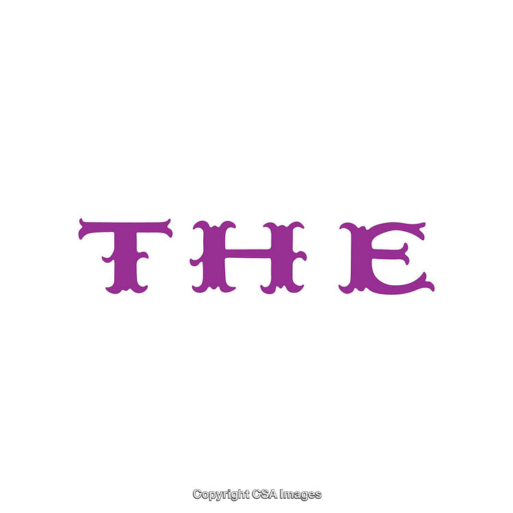Purple Ornamental Text Illustration on White Background Artwork