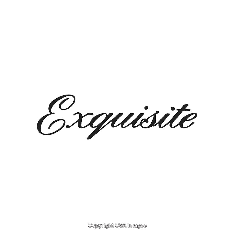 Elegant Script Typography Featuring the Word 'Exquisite' in Stylish Cursive