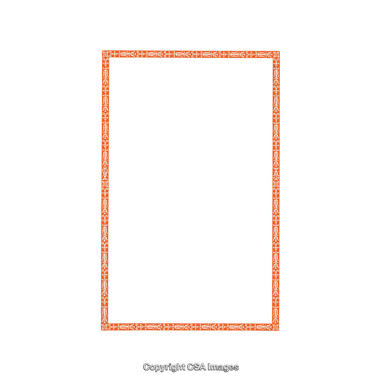 Ornate Orange Decorative Frame on White Background Isolated