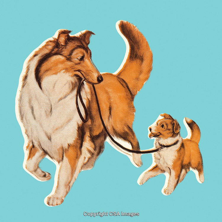 Illustration of a Collie and Her Puppy Bonding Through Playful Behavior