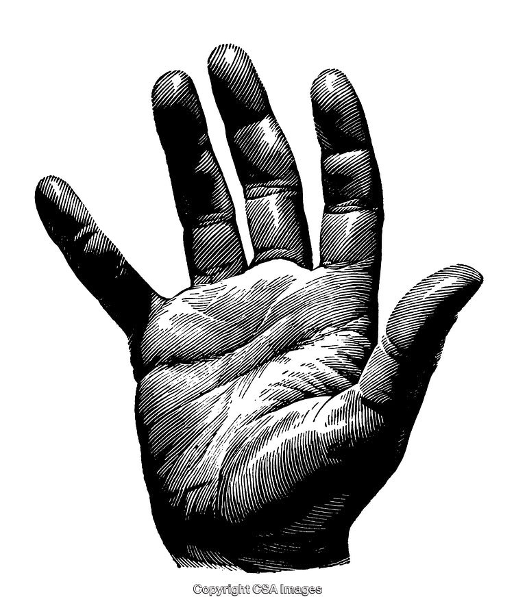 Detailed Black and White Engraving of an Open Human Hand