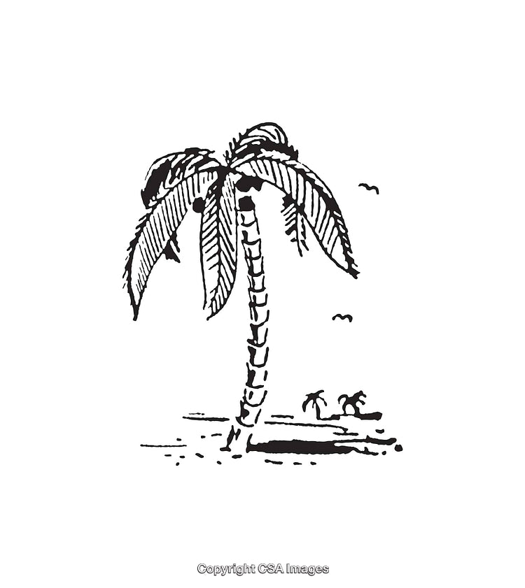 Black and White Illustration of a Palm Tree on a Beach