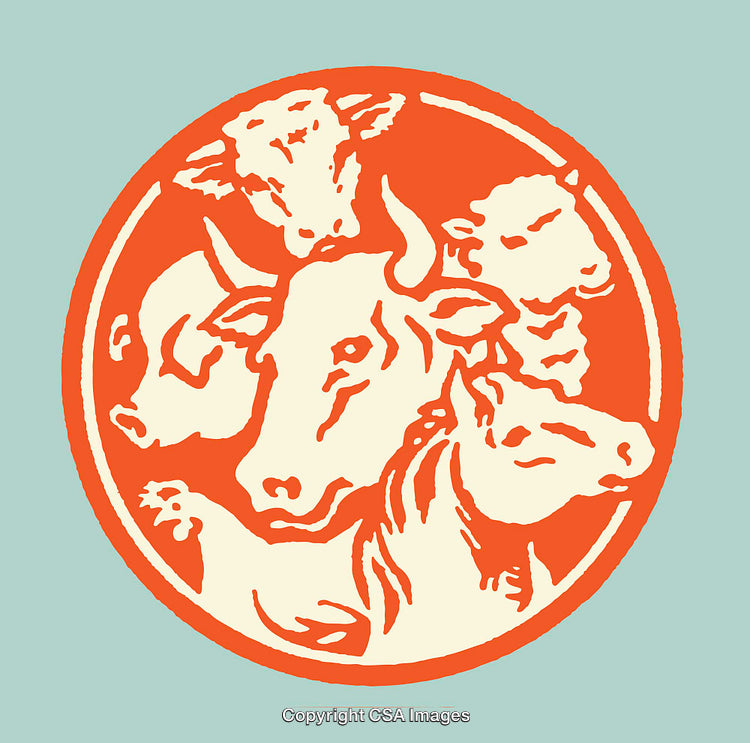 Abstract Farm Animal Illustration in Circular Design
