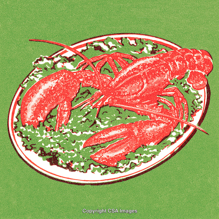 Bright Lobster Artwork on Salad Display with Vibrant Green Background