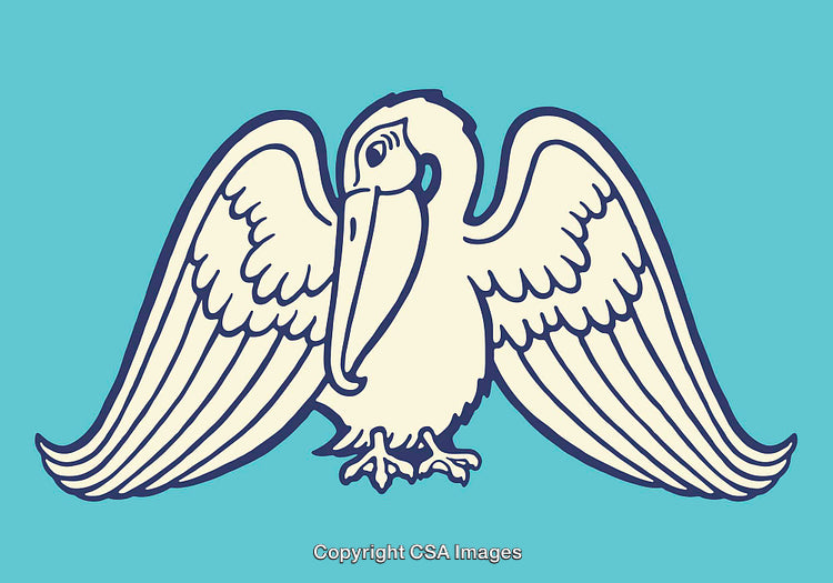 Vector Line Art Illustration of a Winged Pelican on Blue Background