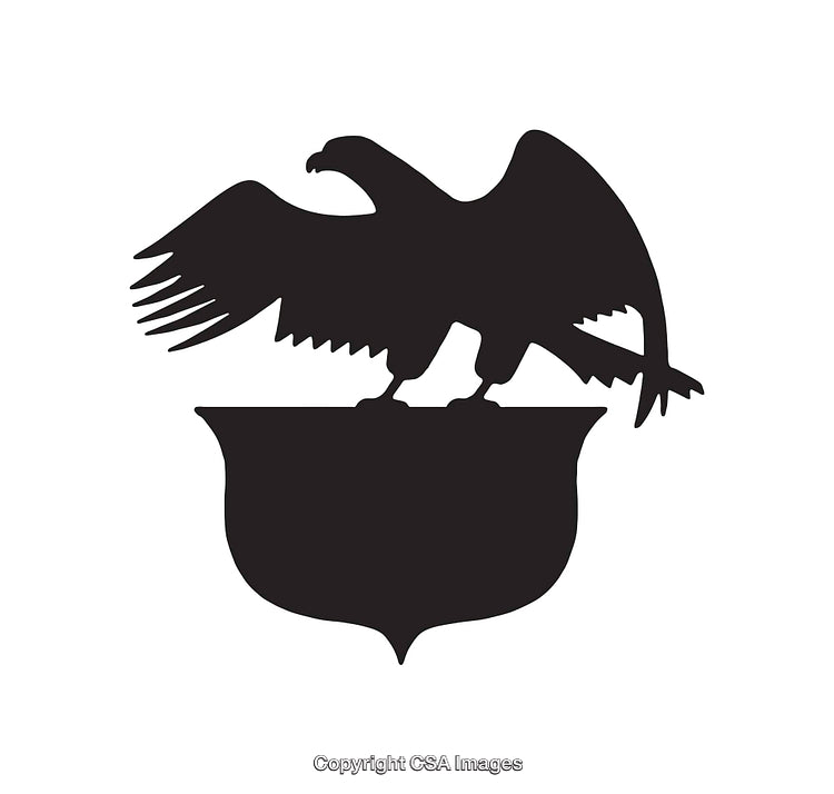 Silhouette of an Eagle Perched on a Shield Icon Design