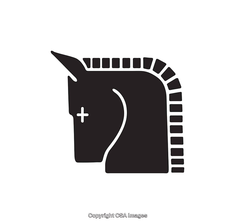 Minimalist Black and White Horse Icon with Dark Silhouette Design