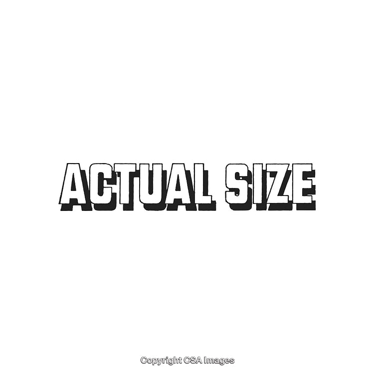 Typography Art Featuring Bold 'Actual Size' Black Text On White Background