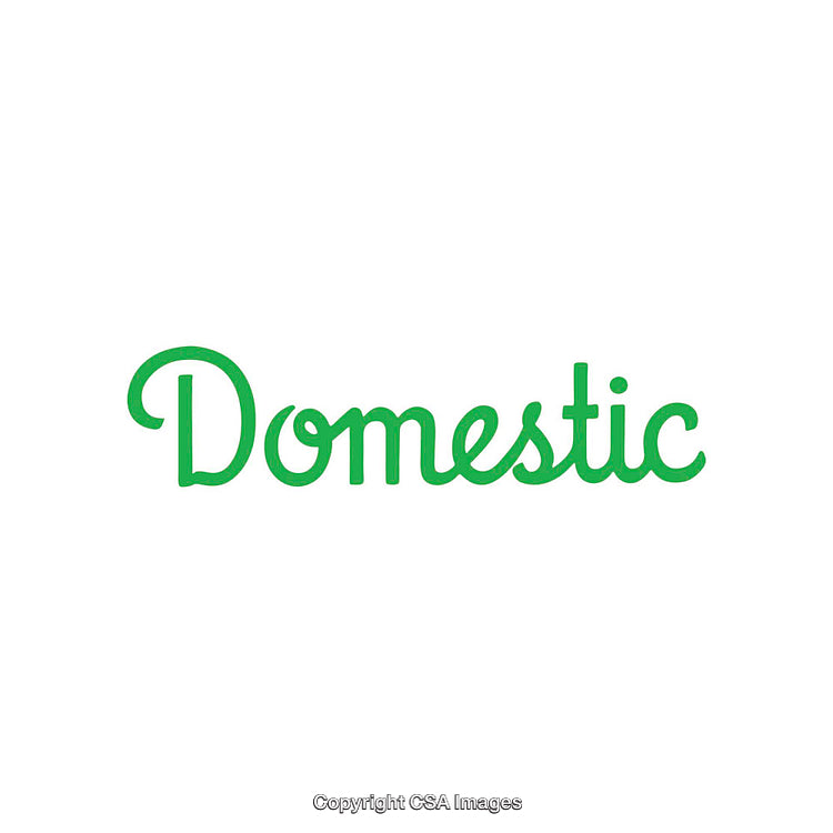 Minimalistic Green Script Text Reading Domestic on White Background