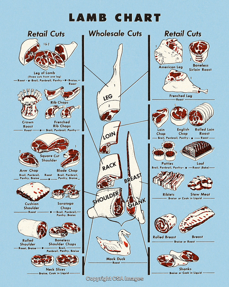 Lamb Meat Cuts Chart Featuring Retail and Wholesale Portions