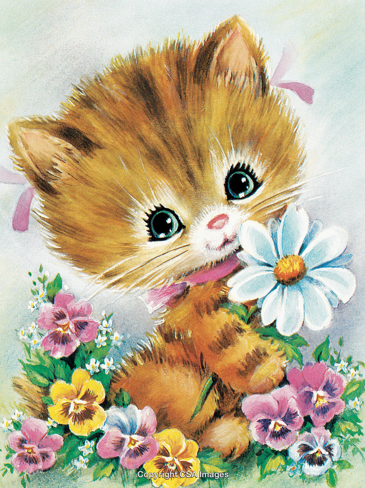 Adorable Kitten with Daisy Surrounded by Colorful Flowers