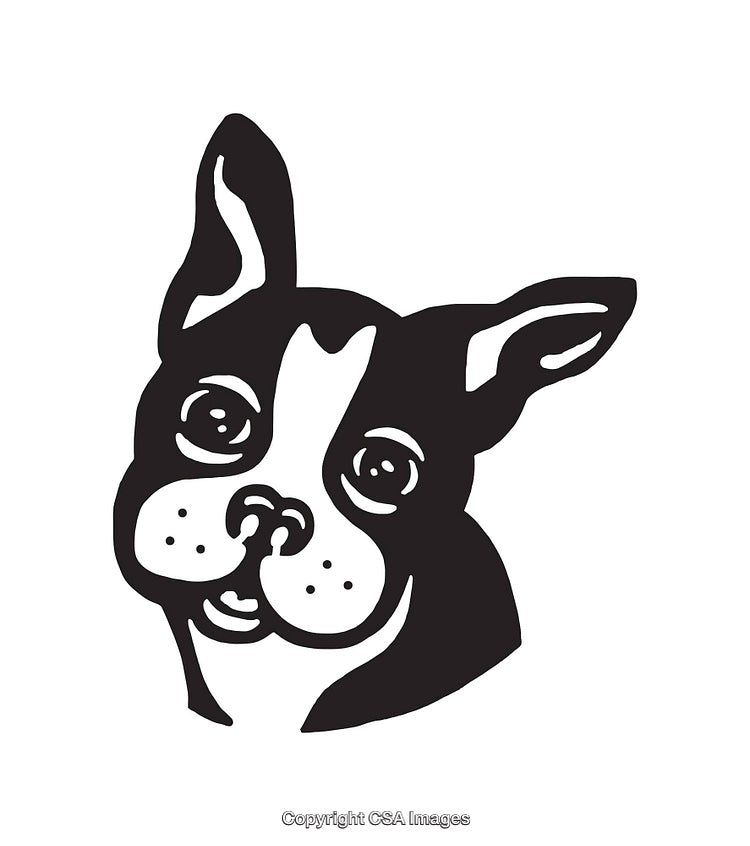 Black and White Line Art Illustration of a Cute Dog's Face