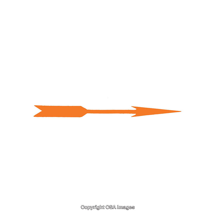 Orange Arrow Silhouette on a Minimal Clean White Background