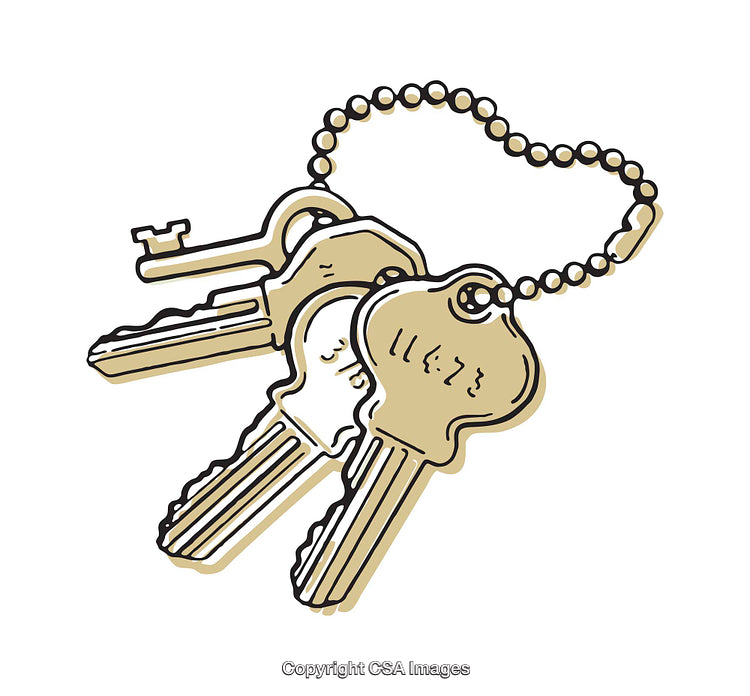 Illustration of a Keyring with Multiple Keys on a White Background