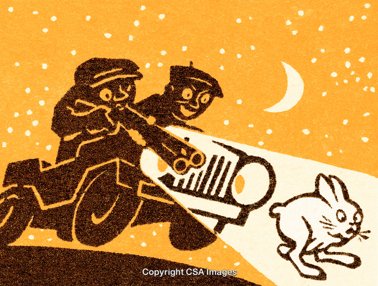 Illustration of Car Enthusiasts Spotting a Rabbit During a Night Drive