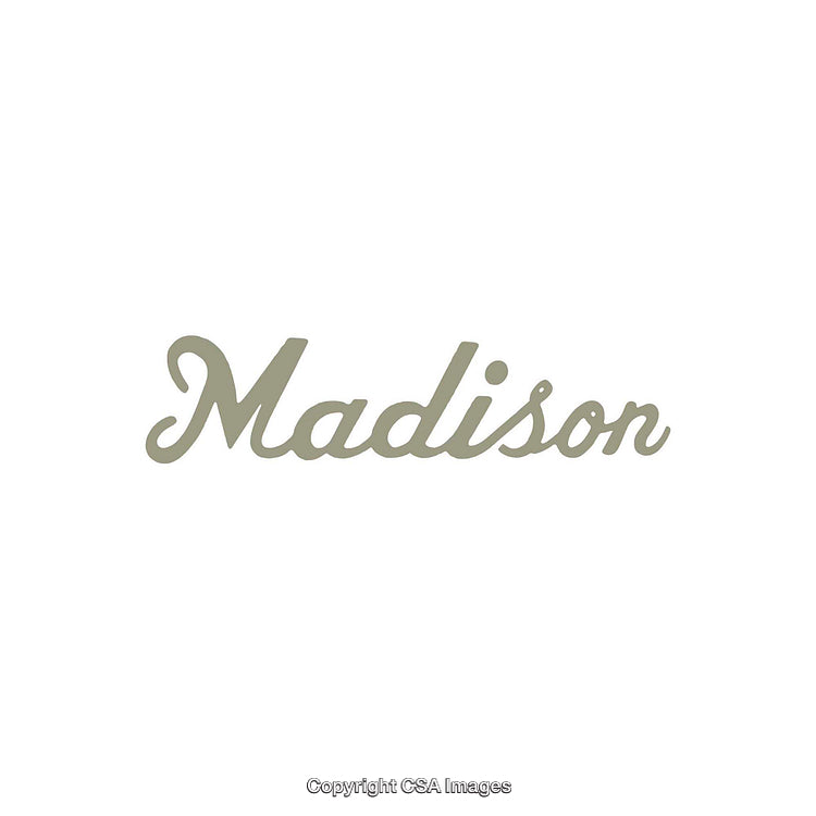 Stylish Script Typeface Depicting the Word 'Madison' in Elegant Gray