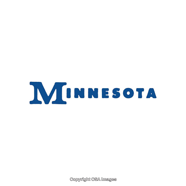 Minnesota State Name in Bold Blue Typeface on White Background