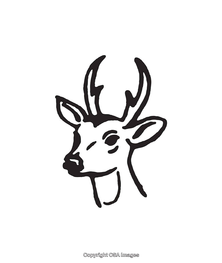 Hand-Drawn Black-and-White Deer Illustration with Stylish Antlers