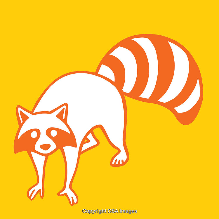 Minimalist Orange and White Raccoon Illustration on Yellow Background