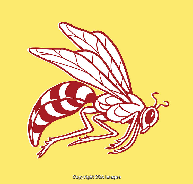 Detailed Line Art Illustration of a Wasp with Clear Yellow Background
