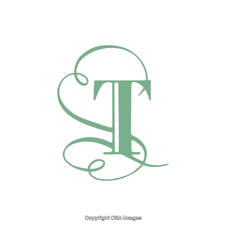 Elegant Monogram Design Featuring a Stylish Decorative Letter T Artwork