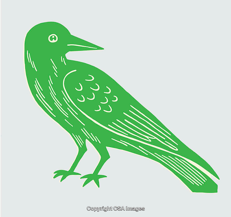 Green Line Art Illustration of a Bird in Minimalist Style