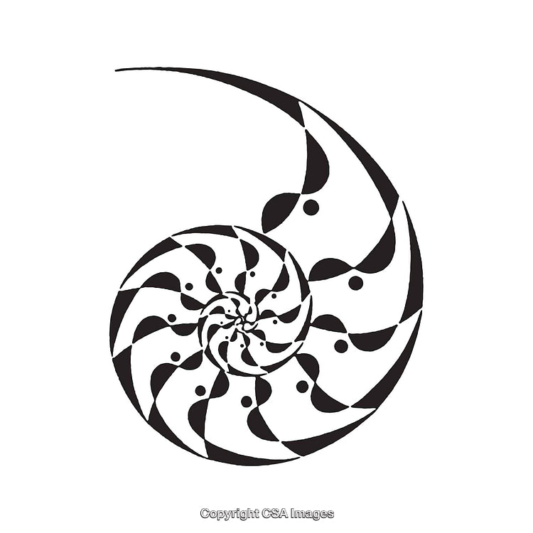 Abstract Black and White Nautilus Spiral Design