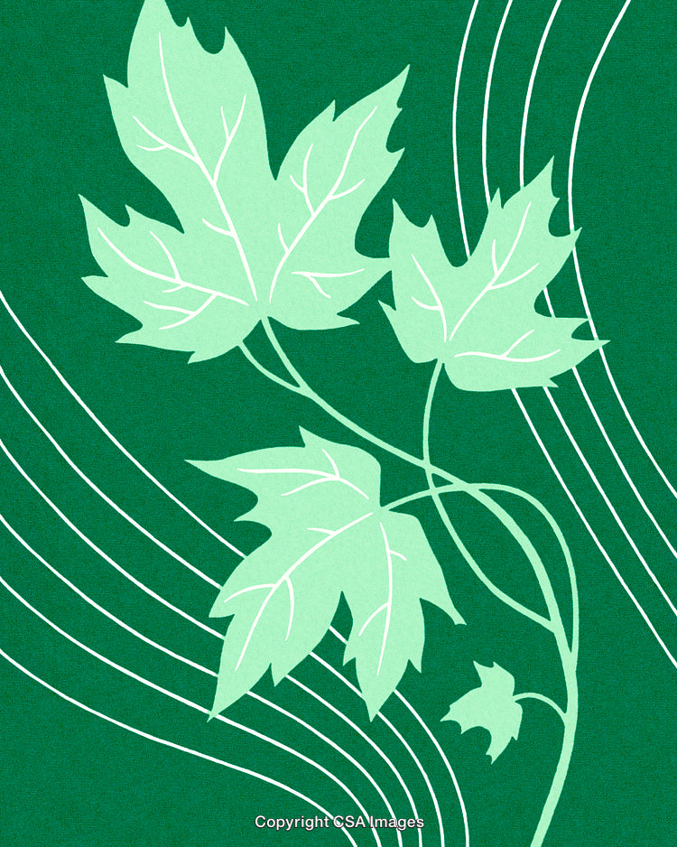 Artistic Green Leaves Illustration with Organic Geometric Line Accents
