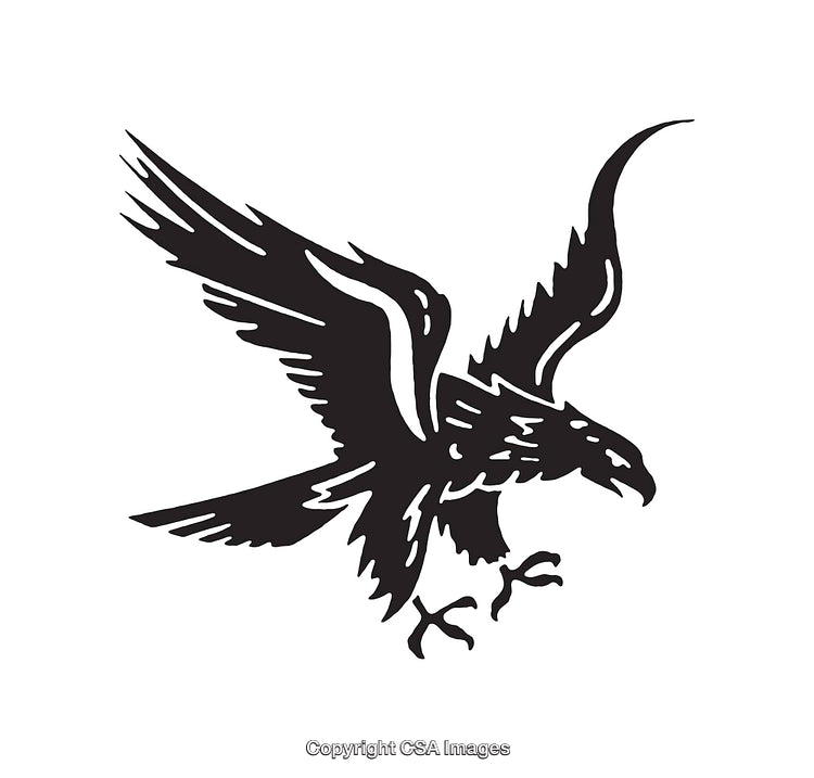 Black and White Line Art of an Eagle in Flight