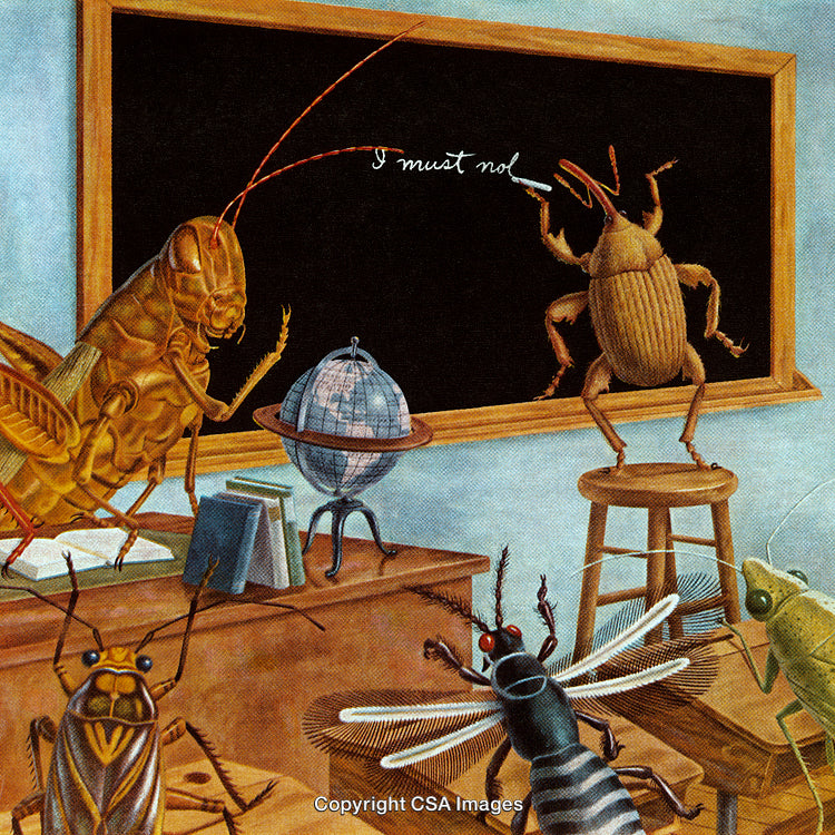 Insects in a Classroom Engaging in Unique and Humorous Roles