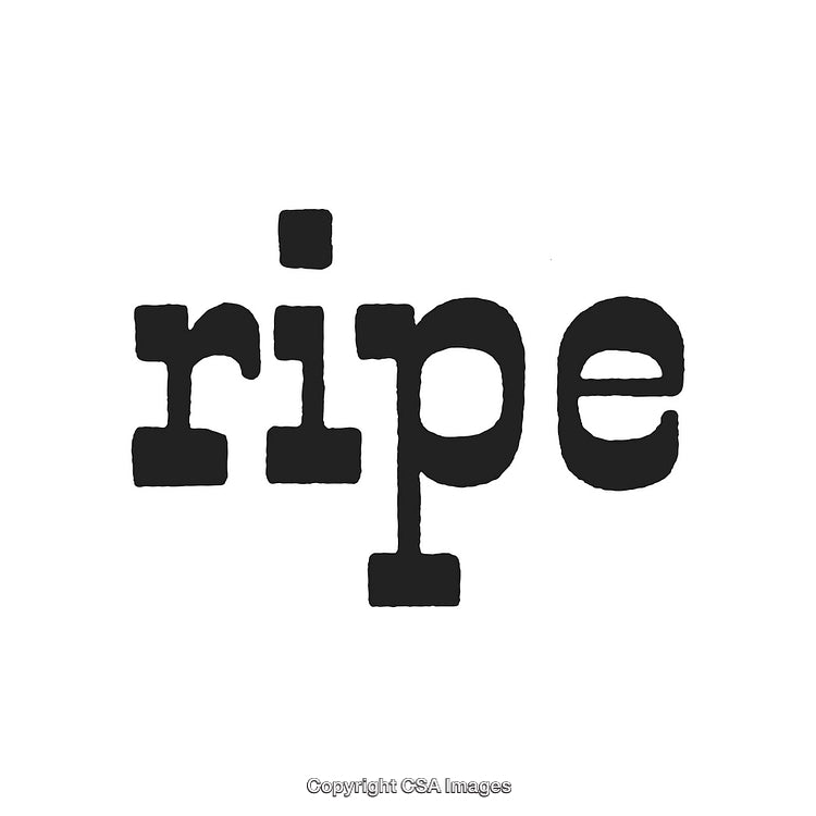 Bold Typographic Design Featuring the Word Ripe in Black Stencil Font