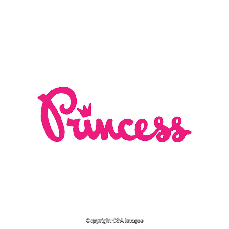 Bright Pink Princess Script Font with a Crown Symbol Design