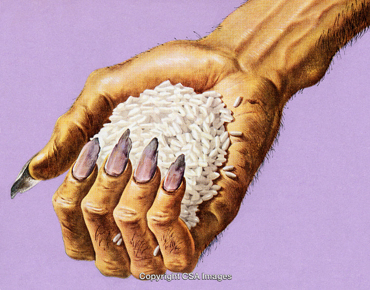 Hand Holding a Pile of Grains Against a Pastel-Lavender Background