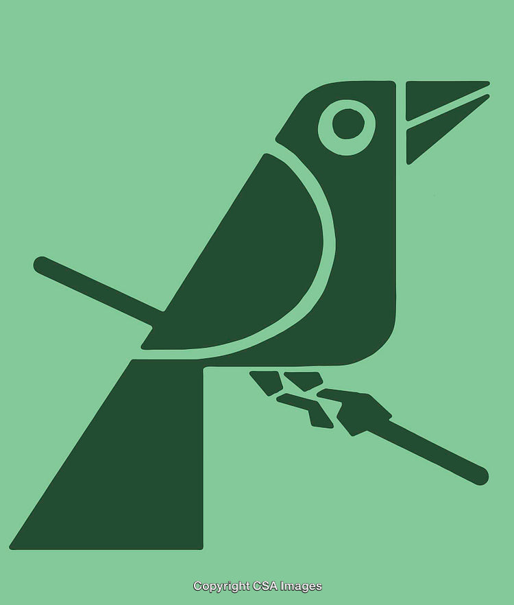 Minimal Bird Illustration Featuring Geometric Shapes on Green Background