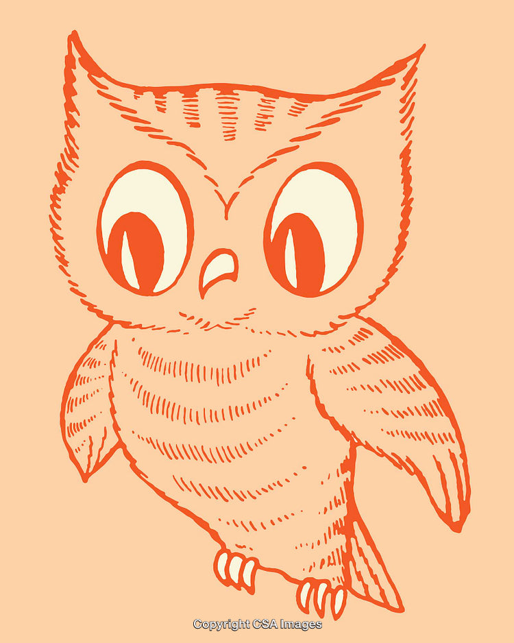 Illustrated Cartoon Owl With Big Eyes in Line Art Style