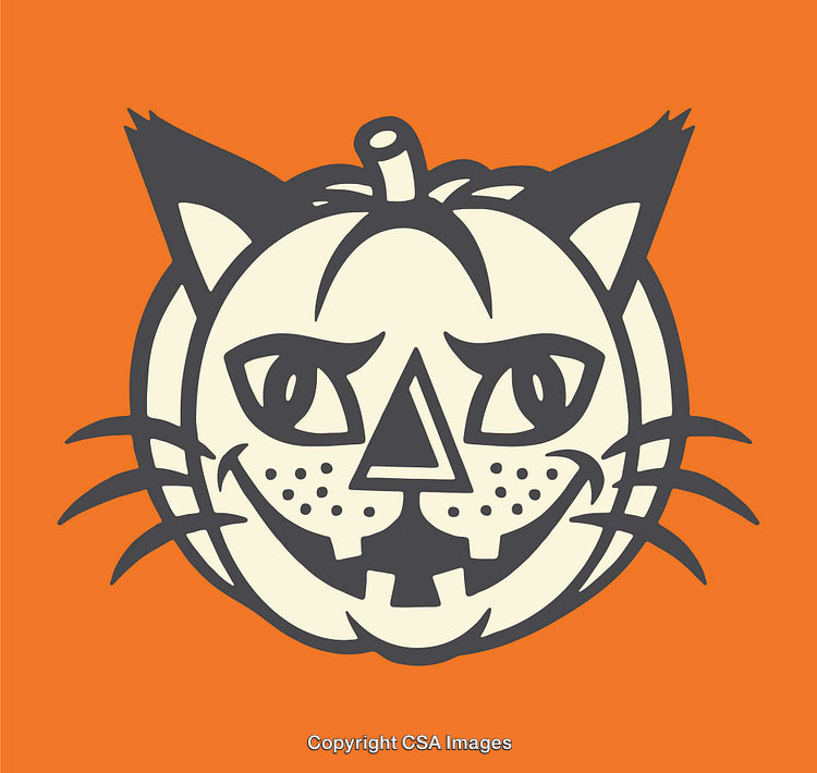 Creative Halloween Cat Pumpkin Illustration with Whimsical Design on Orange Background