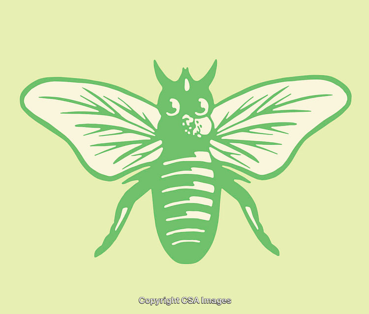 Green Line Art Illustration of a Flying Insect with Detailed Wings