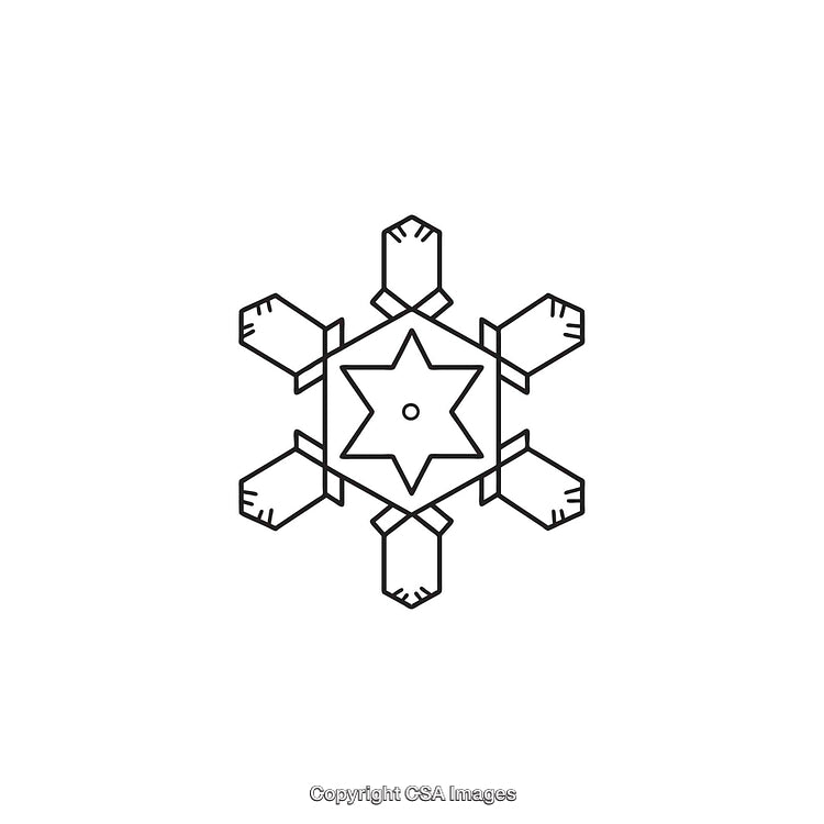 Black And White Geometric Snowflake Shape with Star Center in Minimalist Design