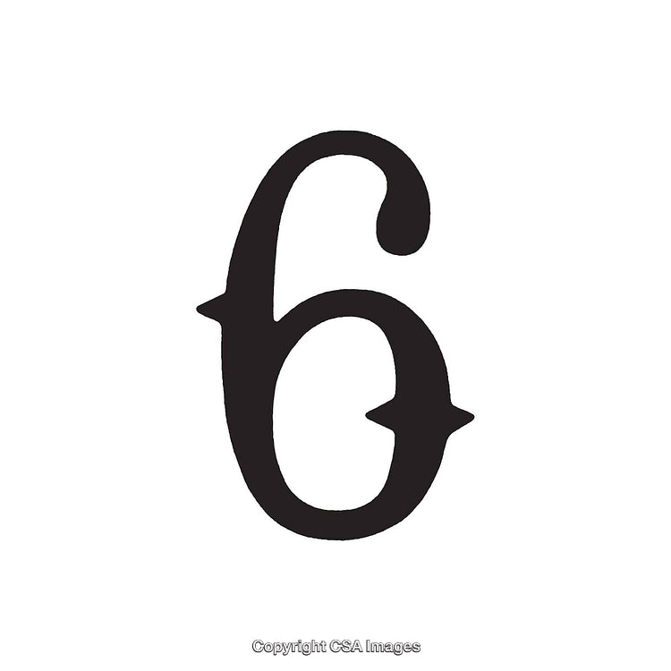 Vintage Style Numeral Six with Ornamental Design on White Background