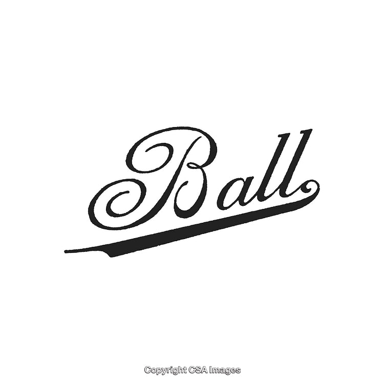 Elegant Script Logotype Featuring the Word 'Ball' in Stylish Calligraphy