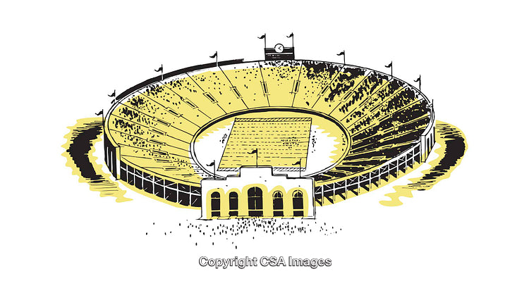 Hand-Drawn Illustration of a Sports Stadium Filled With Energy