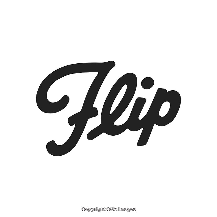 Stylized Black Calligraphy Text Logo with Elegant Design Elements