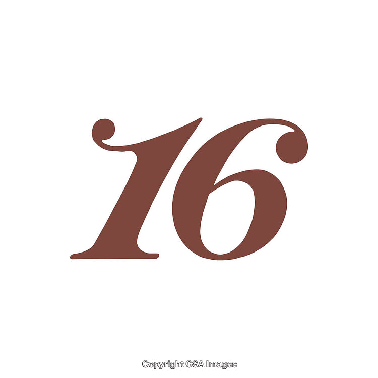 Elegant Display of the Number Sixteen in Classic Serif Font