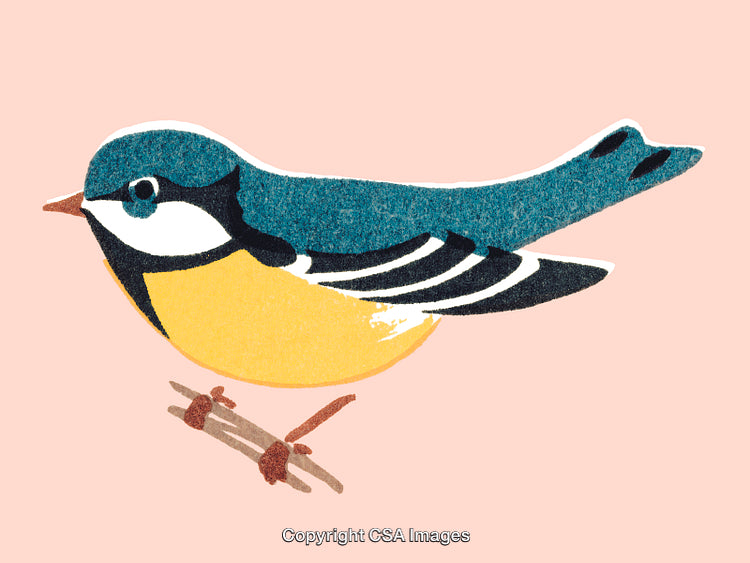 Illustrated Bird Design with Yellow, Blue, and Black on a Minimal Background