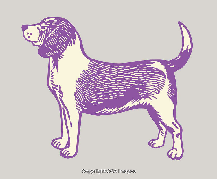 Purple and Cream Line Art Illustration of a Dog on Neutral Background