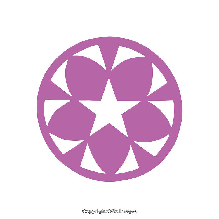 Purple Circle with Star and Petal-Like Design Inside