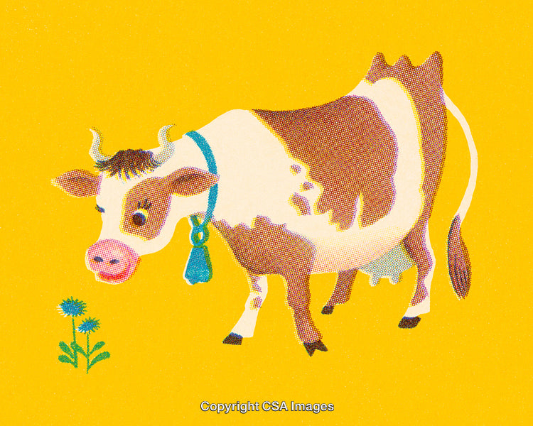 Whimsical Cow Illustration on Vibrant Yellow Background with Blue Wildflower