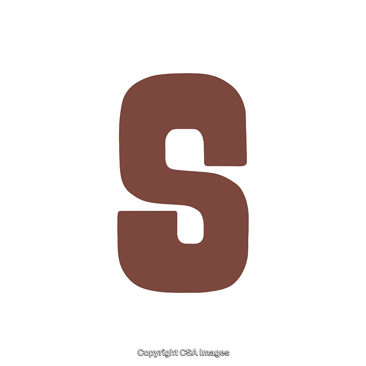Bold Brown Letter S on White Background for Typography Designs