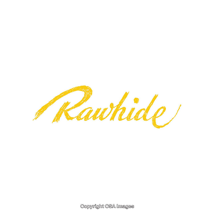 Stylish Yellow Rawhide Handwritten Typography on a Clean White Background
